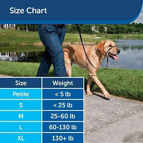 PetSafe Gentle Leader Head Collar - Green, S