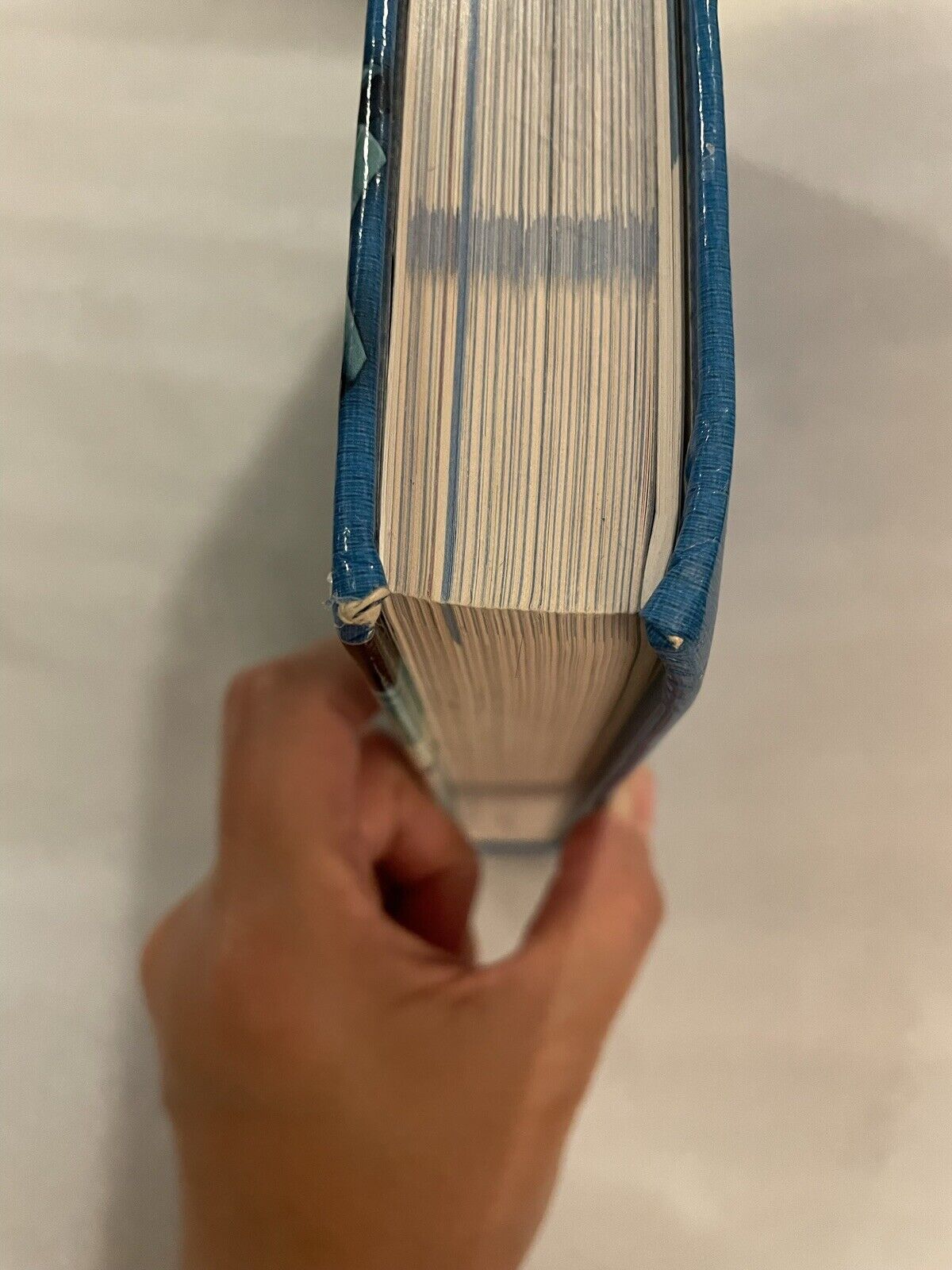 CIVICS Economics & Geography (Florida)