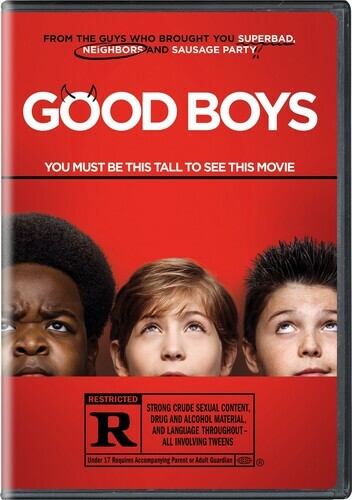 Good Boys (DVD, 2019) Disc Only