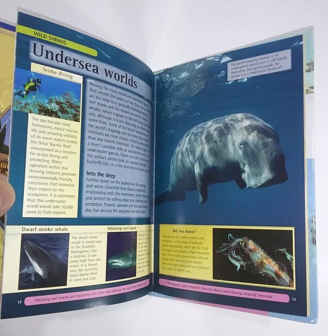 The Barrier Reef and Northeast Australia DVD and Book