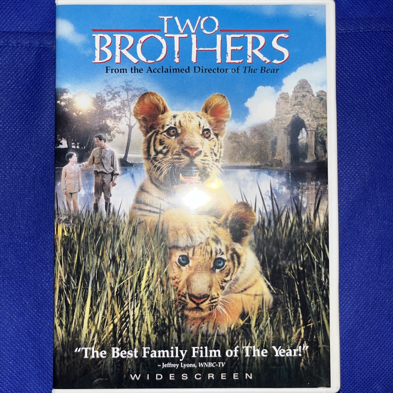 Twobrothers (2004) (DVD, 2004)