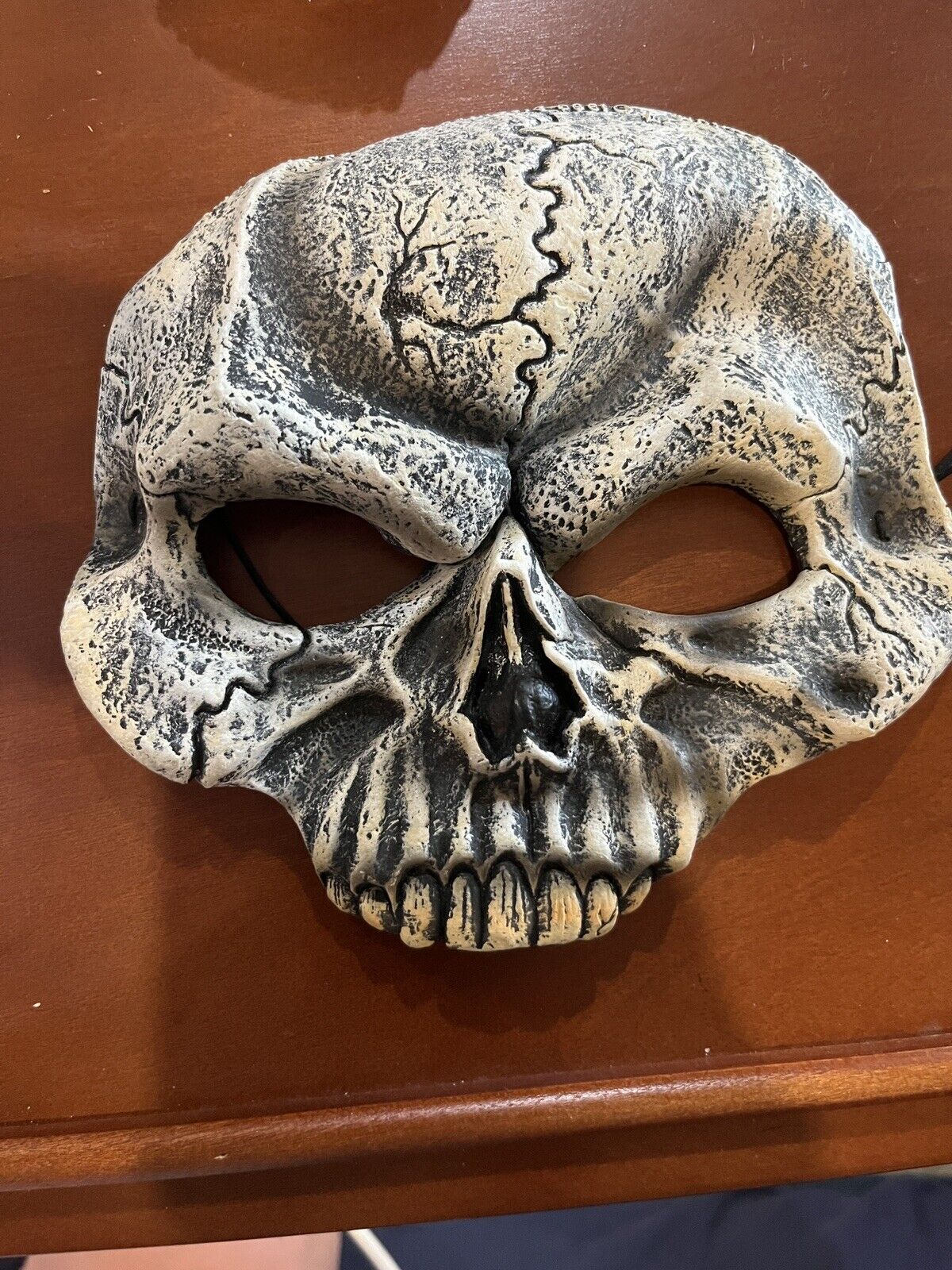 Skull Mask Adult Halloween Costume Accessory Skeleton  One Size