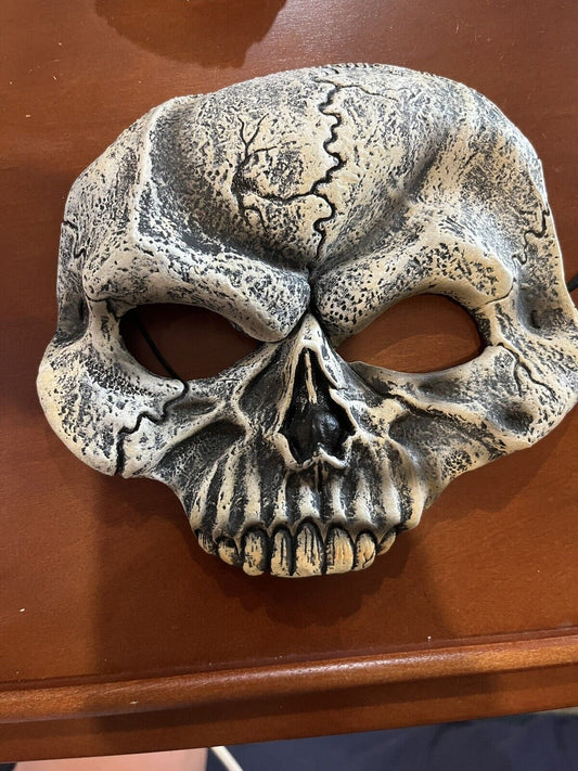 Skull Mask Adult Halloween Costume Accessory Skeleton  One Size