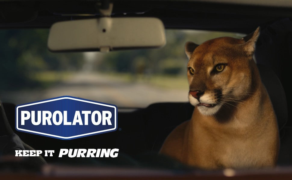 Engine Oil Filter Purolator PL14459