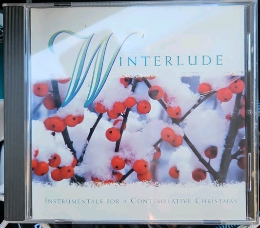 Winterlude: Instrumentals for a Contemplative Christmas by John Darnall (CD,...
