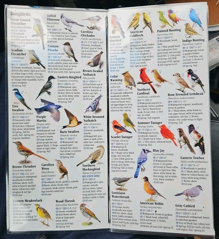 Birds of Alabama and Mississippi : A Guide to Common and Notable Species by...