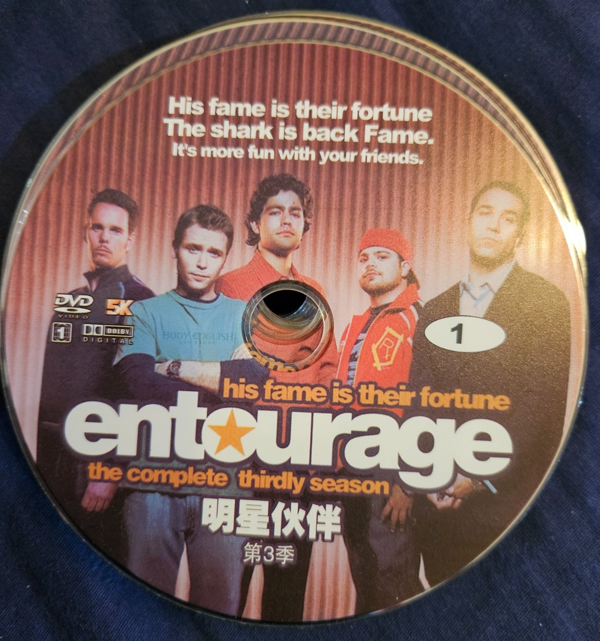 Entourage (Seasons 1 - 6) Replacement Discs (DVD)