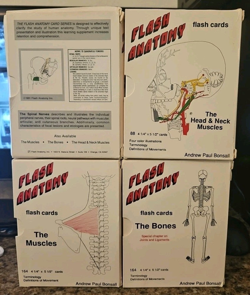 4 Flash Anatomy Flash Cards: Bones/Spinal Nerves/Muscles/Muscular Systems