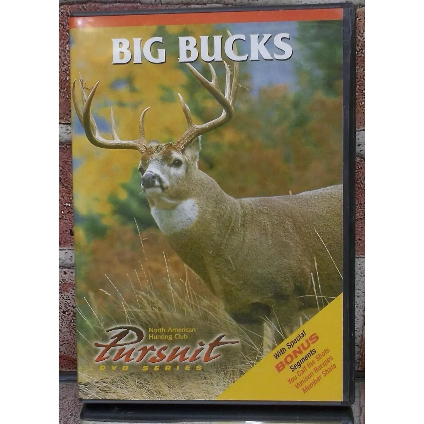 Big Bucks (DVD) Brand New Sealed