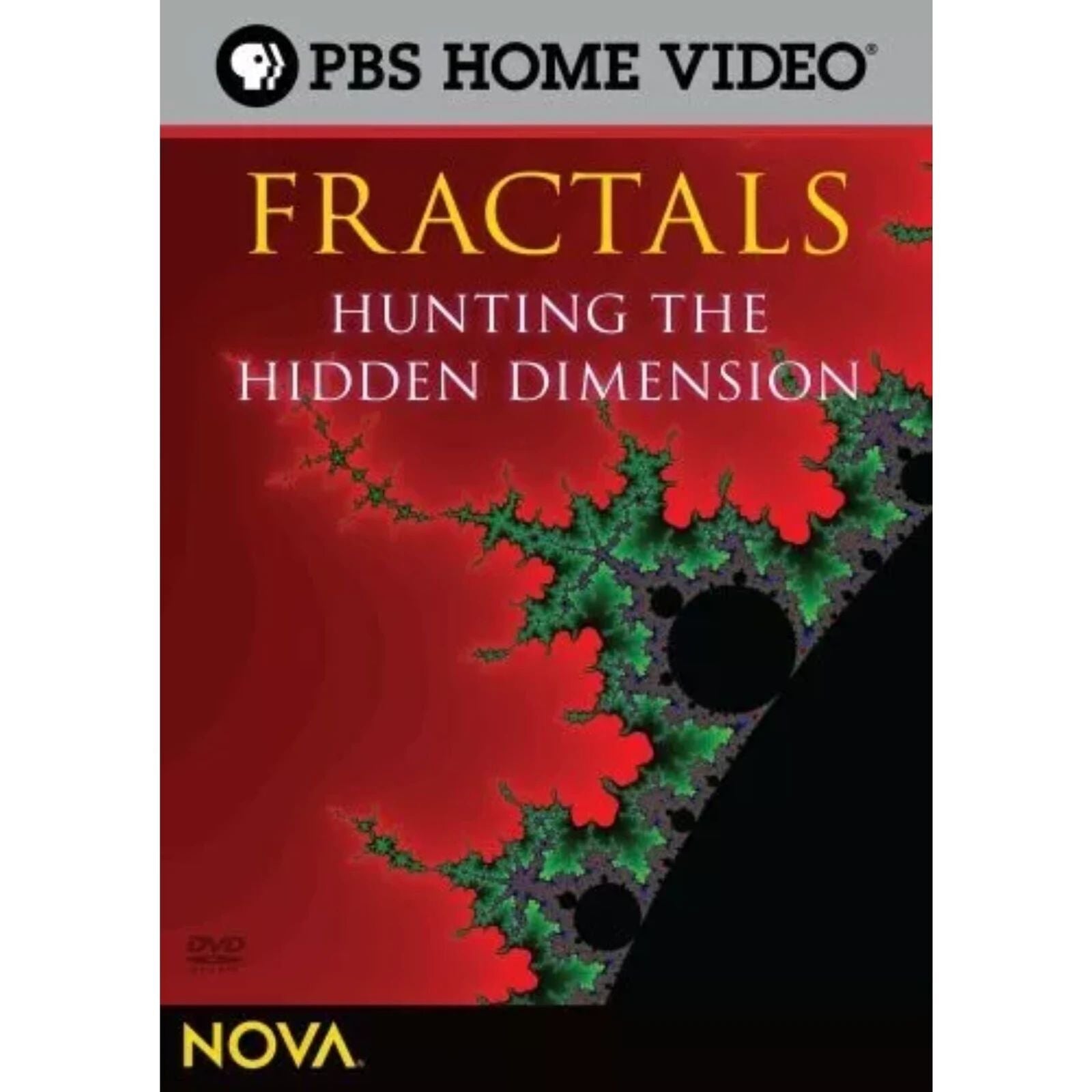 Fractals: Hunting the Hidden Dimension (DVD) Brand New Sealed
