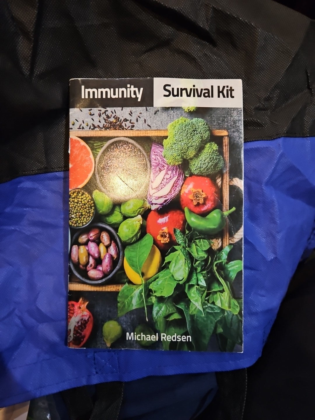 Immunity Survival Kit by Michael Redsen. Booklet + DVD