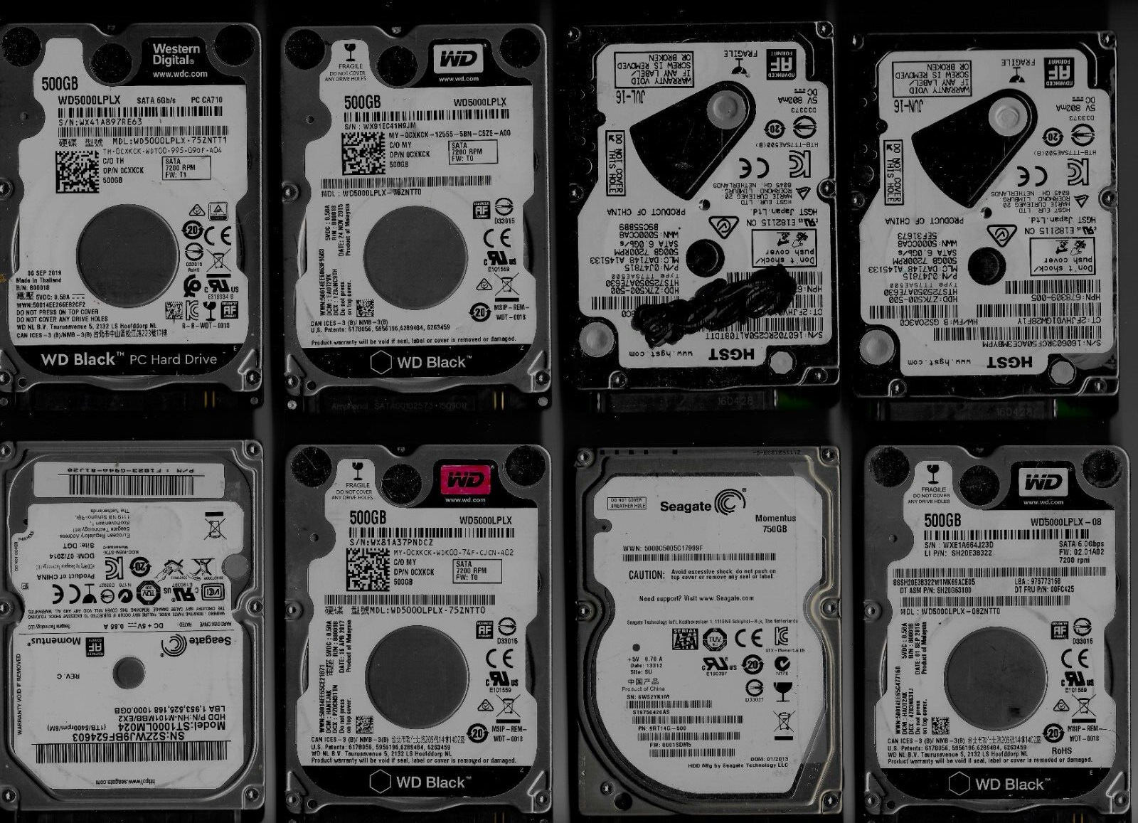 Seagate - Hitachi - HGST - Samsung - Laptop 2.5" Hard Disk Drive