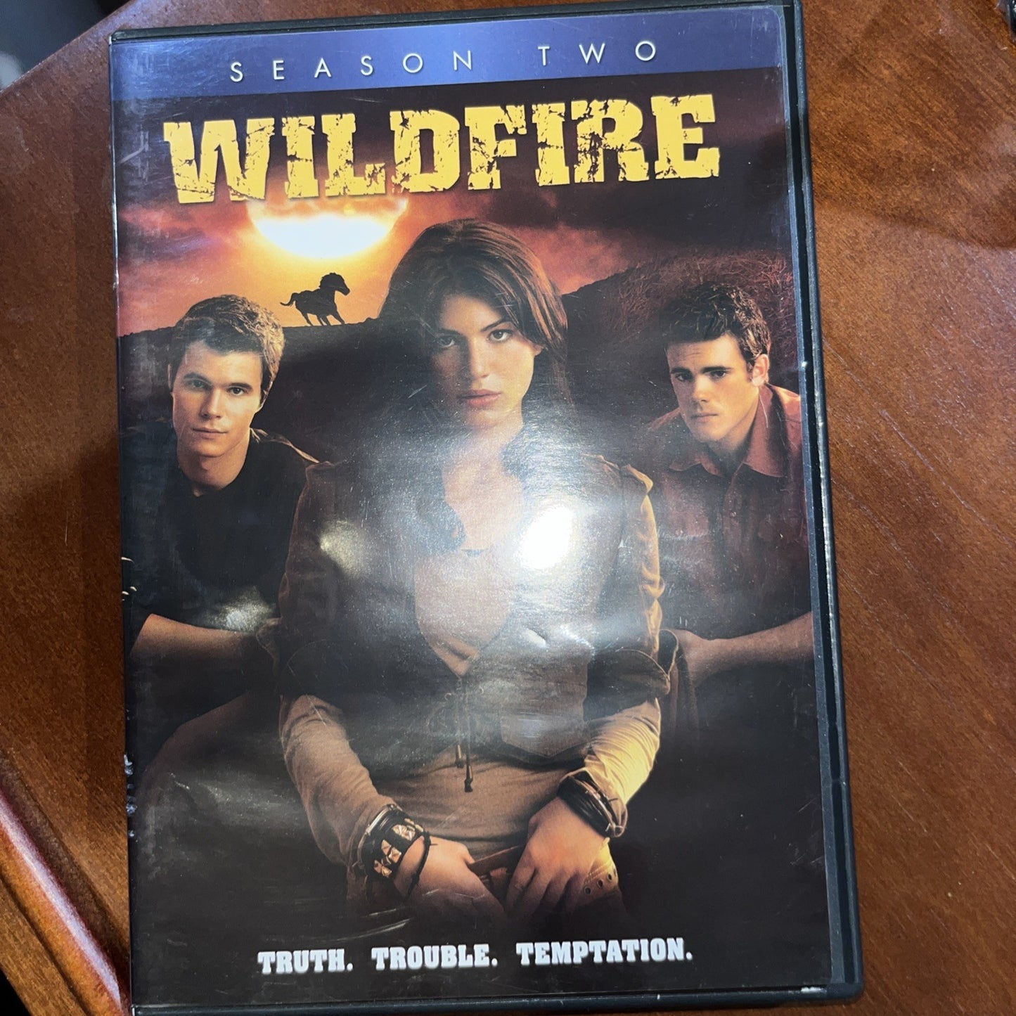 Wildfire: Season 2 (DVD, 2006)