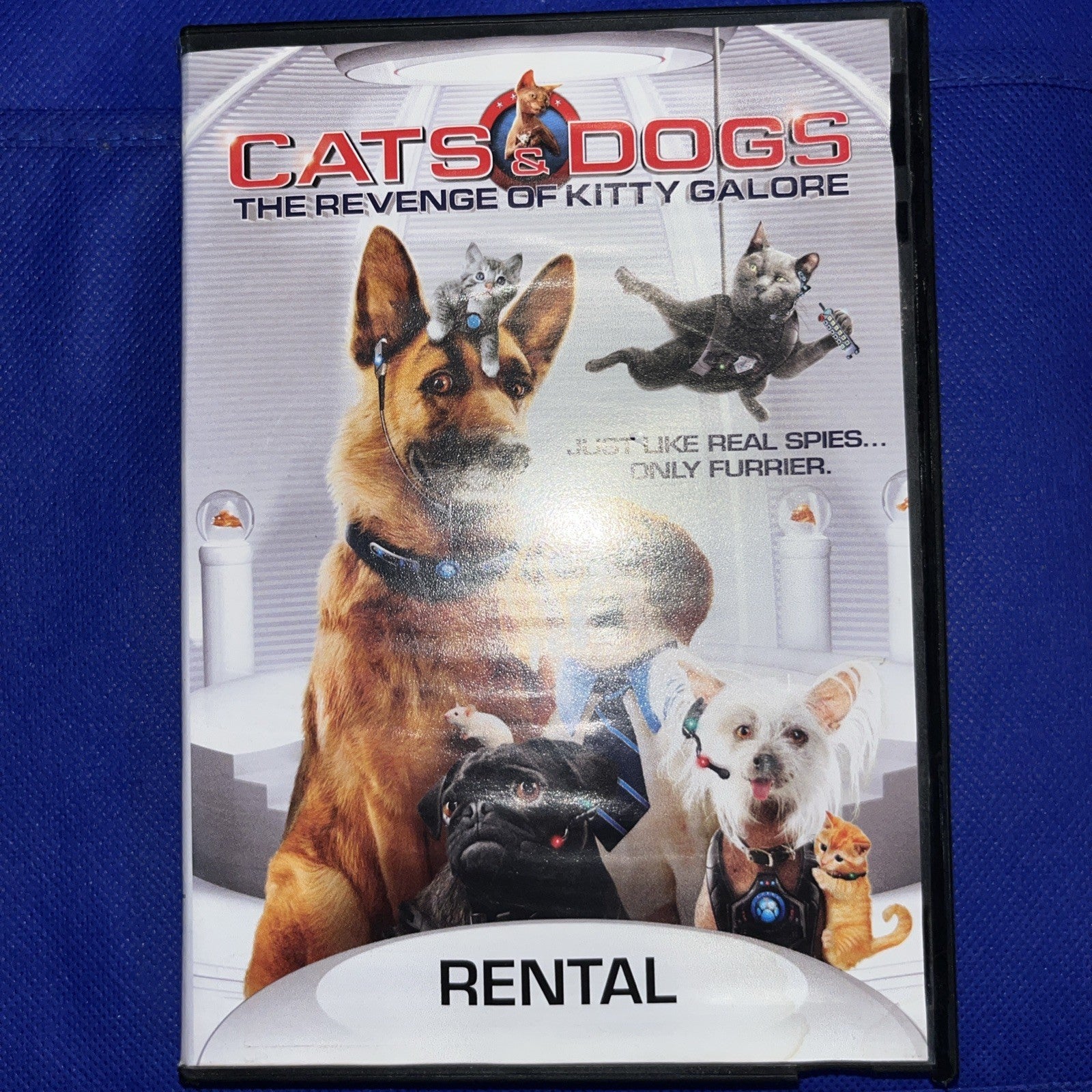 Cats & Dogs: The Revenge of Kitty Galore (DVD, 2010) Tested. Former Rental