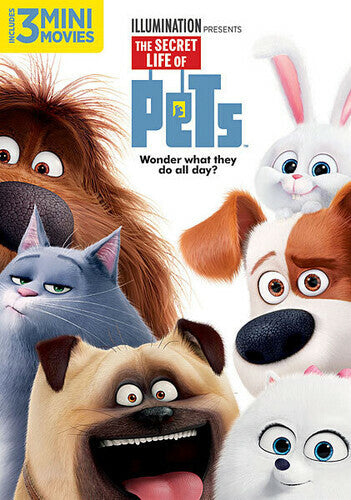 The Secret Life Of Pets (DVD, 2016)