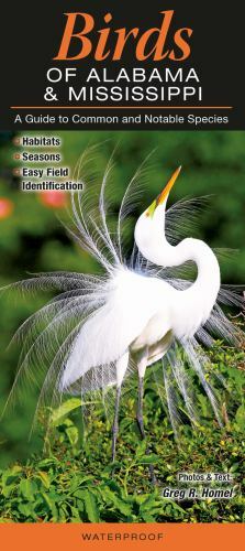 Birds of Alabama and Mississippi : A Guide to Common and Notable Species by...