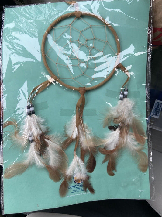 New Legend Of The Dreamcatcher St. Joseph's Indian School Lakota Sioux 