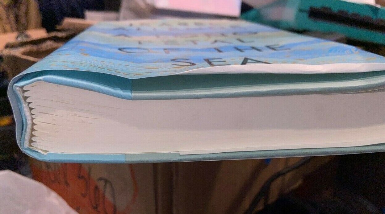 A Long Petal of the Sea : A Novel by Isabel Allende (2020, Hardcover)