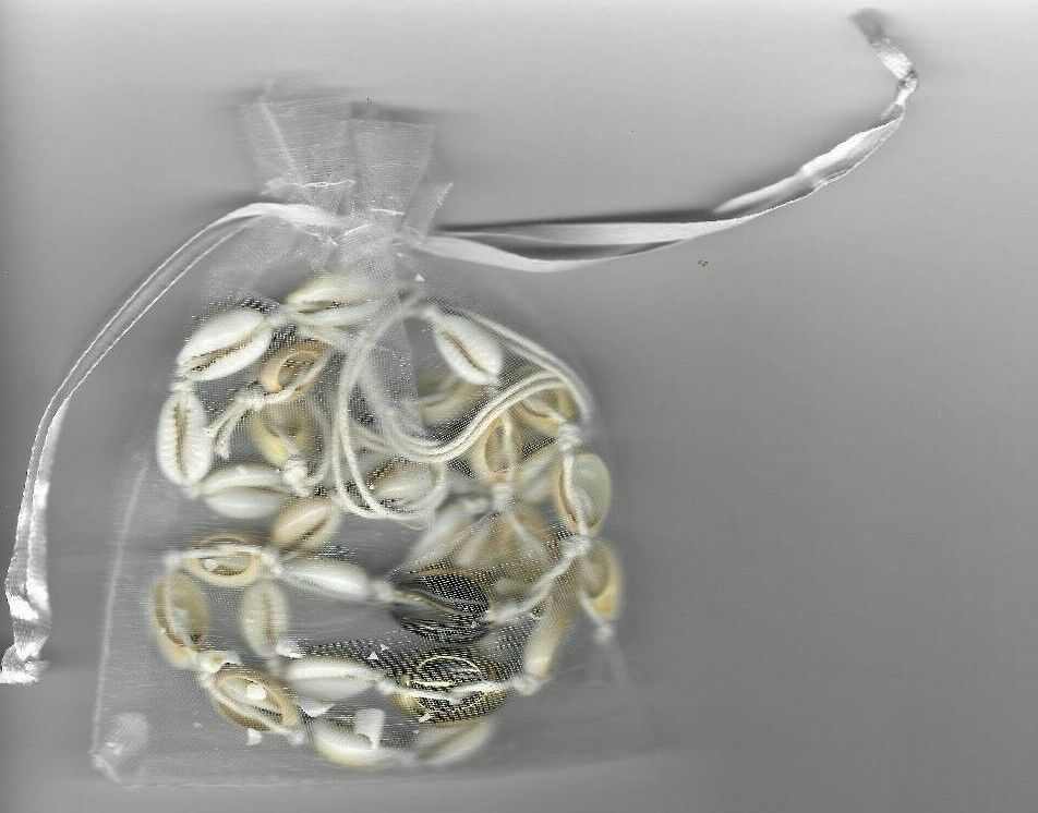 Vercret Shell Necklace  - Brand New