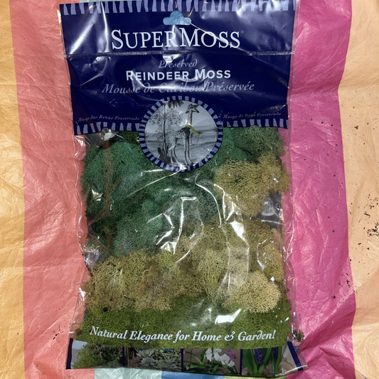 Super Moss Reindeer Moss  120 Cubic Inches