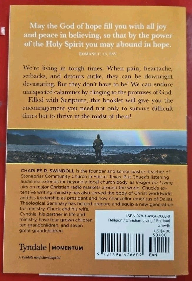 Never Lose Hope : Biblical Promises for Times of Trouble, Chaos, and Calamity by