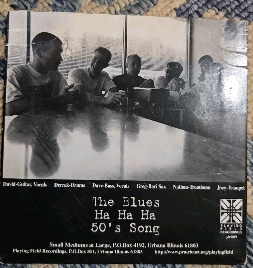 The Small Mediums At Large (CD)