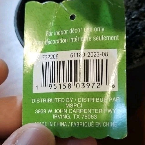 Ashland Artificial Micro Plant Deco Spring Ceramic Potted  8" High 5 Leaves