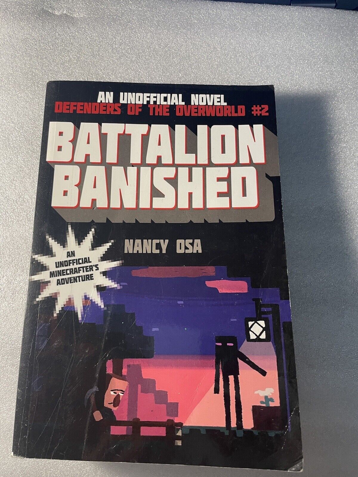 Defenders of the Overworld Ser.: Battalion Banished : Defenders of the Overworld