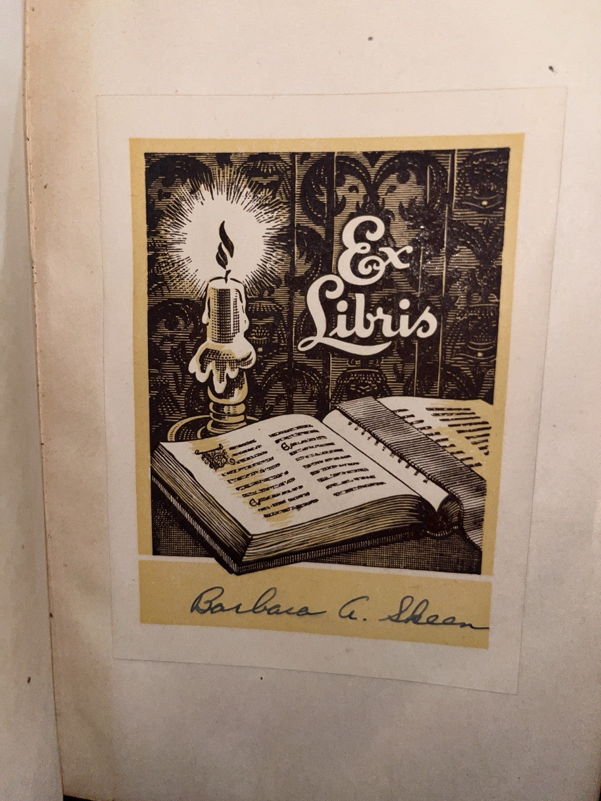 Holy Bible / Science And Health With Key To The Scriptures (Soft Cover) In Case