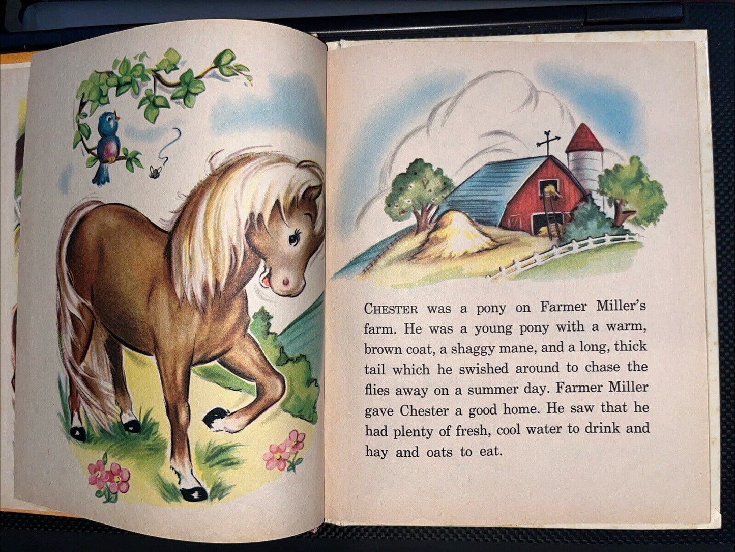 Chester The Little Pony