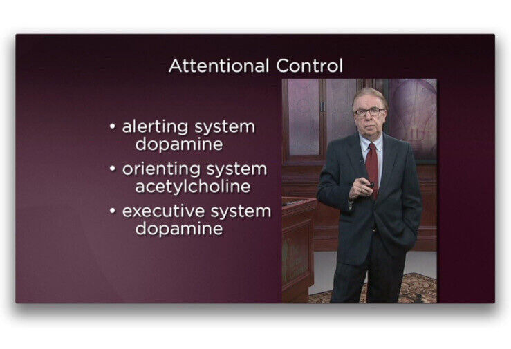 Optimizing Brain Fitness (DVD/Book, 2011, 2-Disc Set) NEW