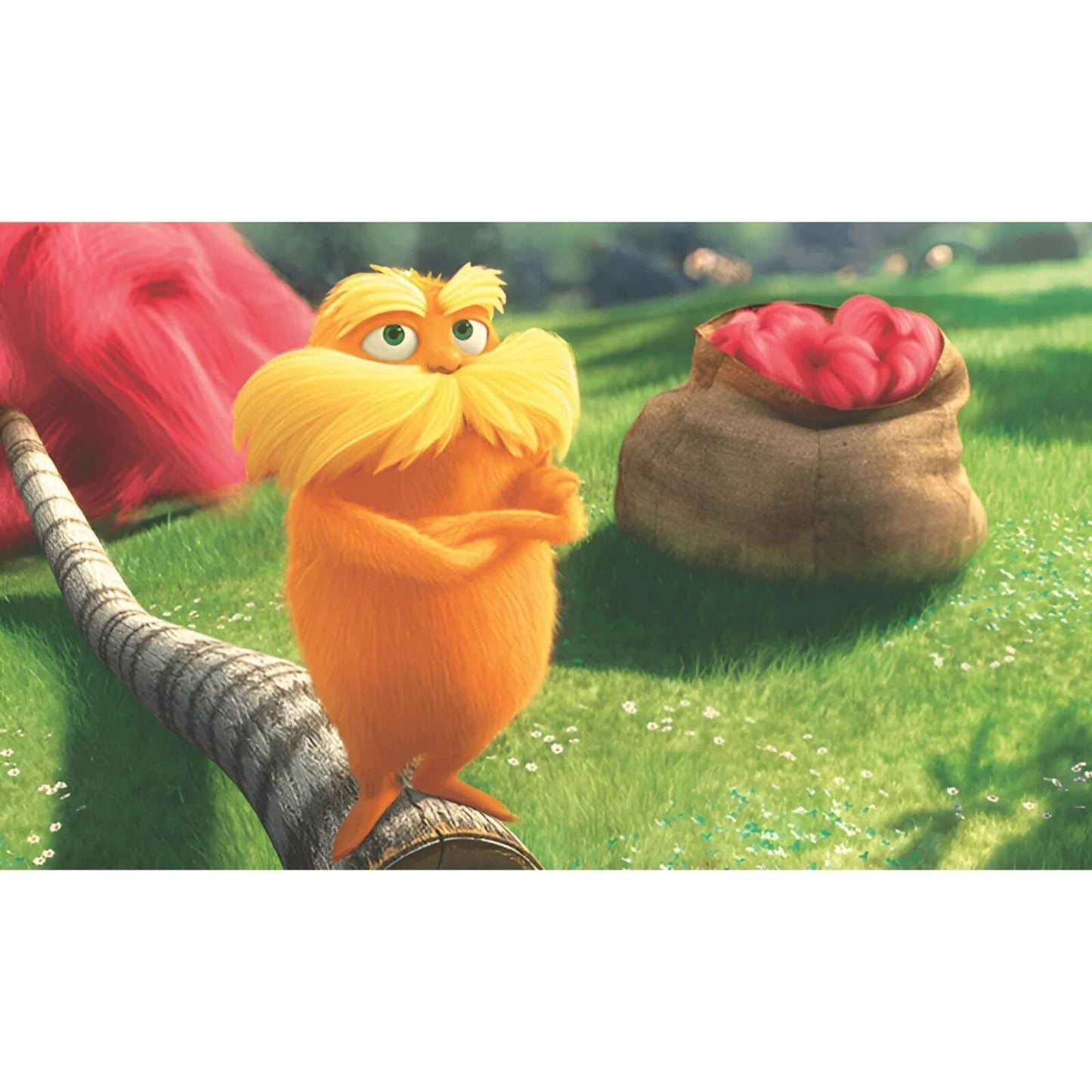 The Lorax (DVD) Brand New