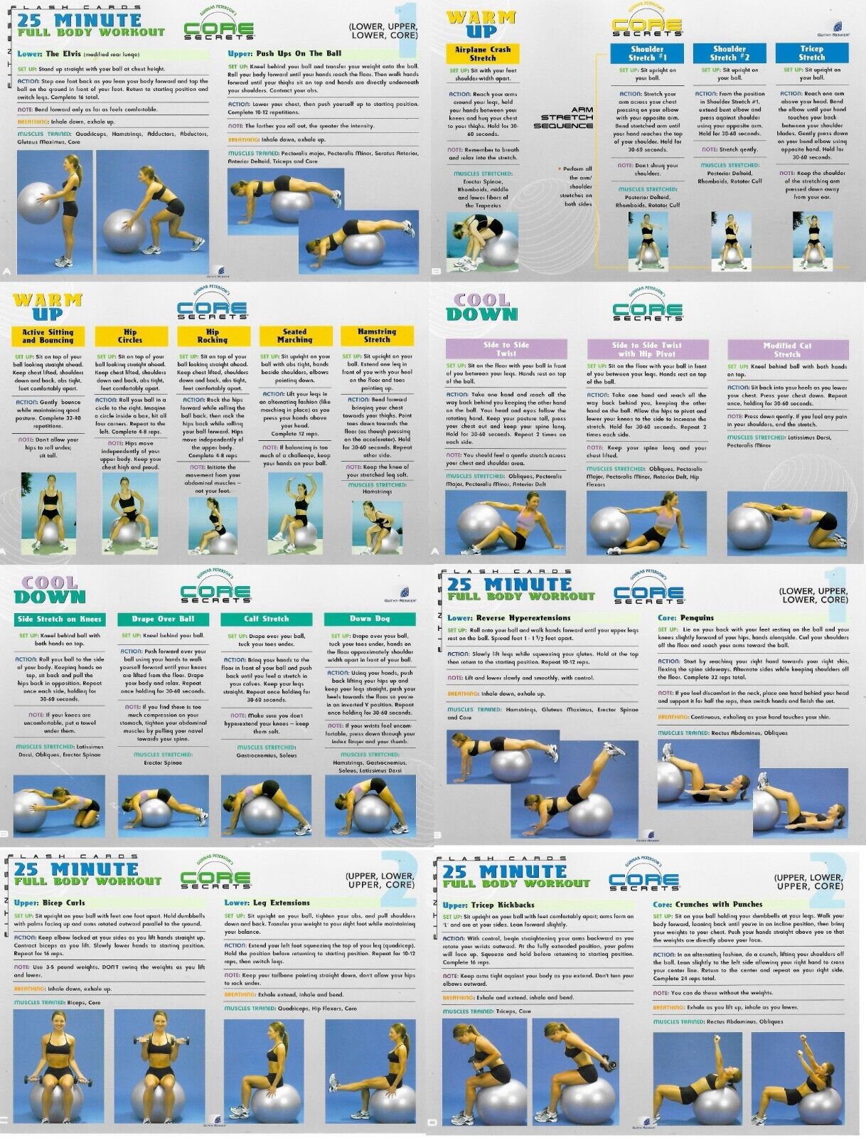 Gunnar’s Core Secrets 5 DVDs w/ Sand Weights