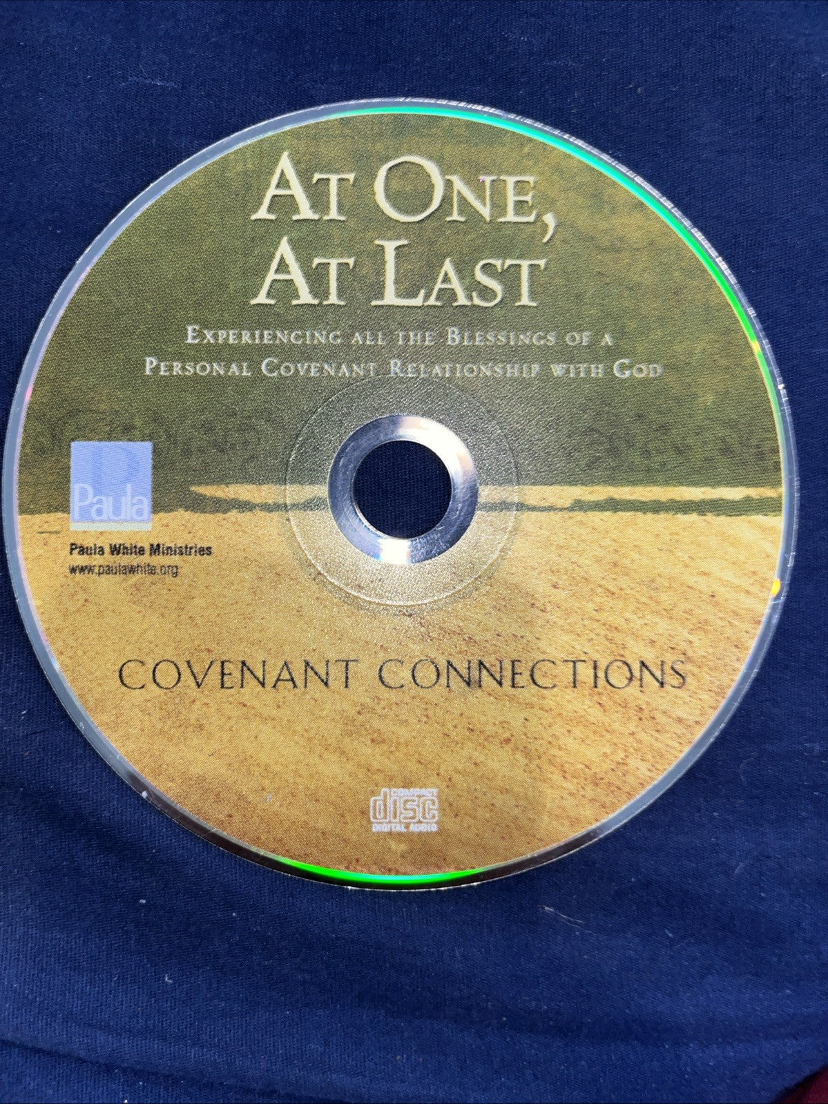 At One, At Last Covenant Connections (Audiobook)