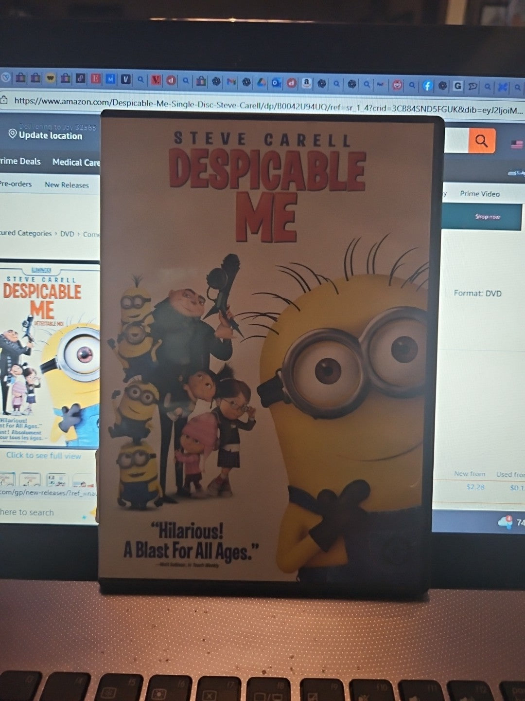 Despicable Me (DVD)