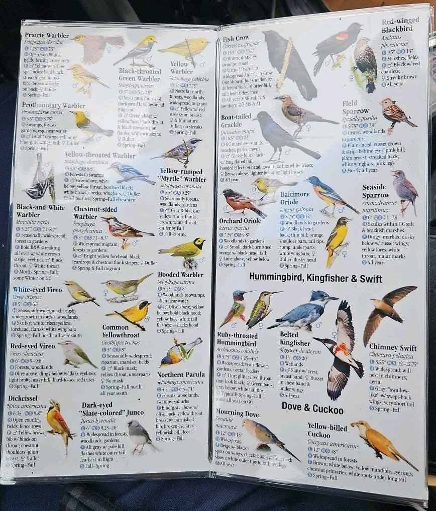Birds of Alabama and Mississippi : A Guide to Common and Notable Species by...