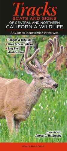 Tracks, Scats and Signs of Central - Northern California Wildlife : A Guide...