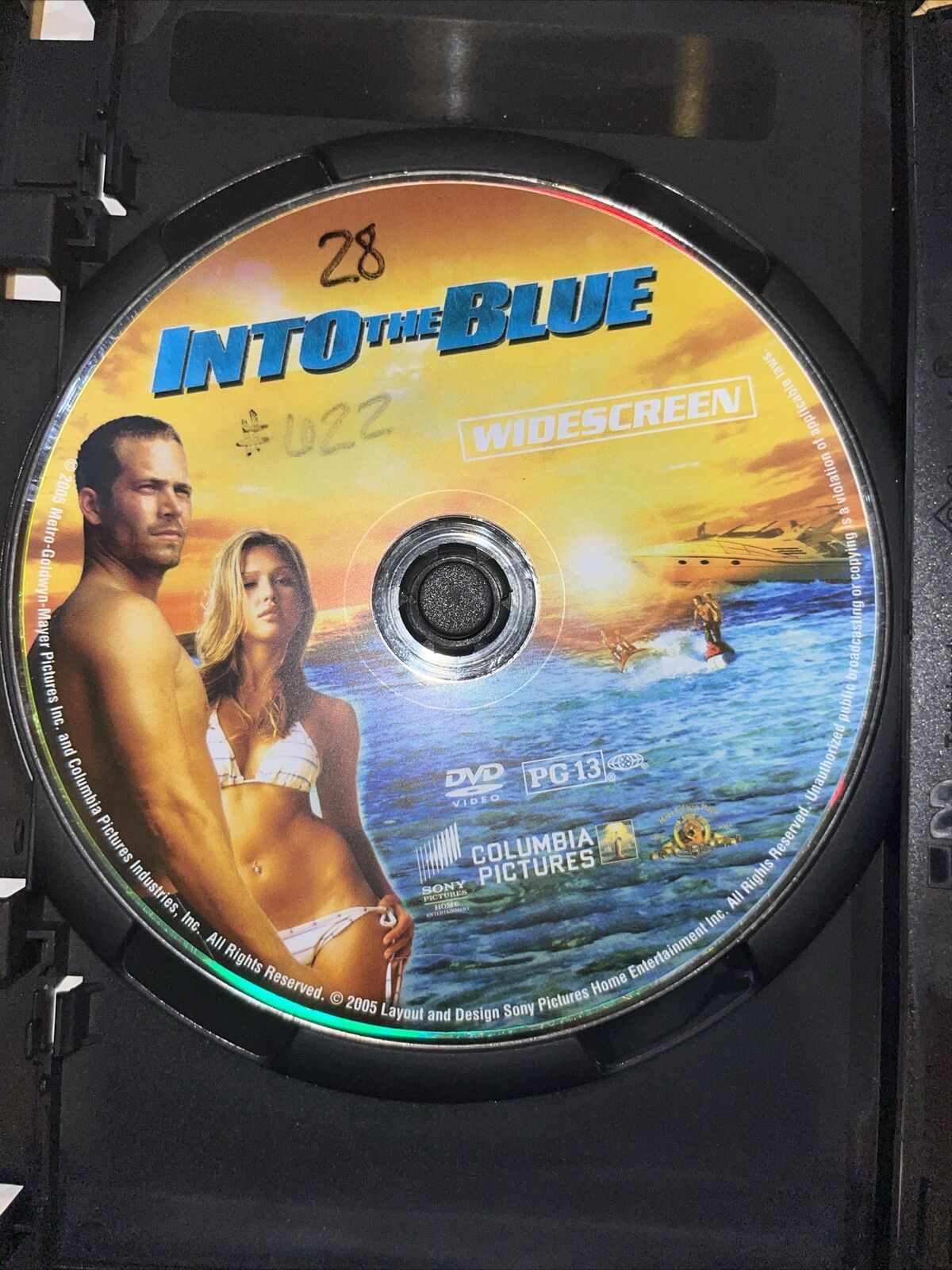 Into The Blue- Widescreen Edition (DVD) DVD
