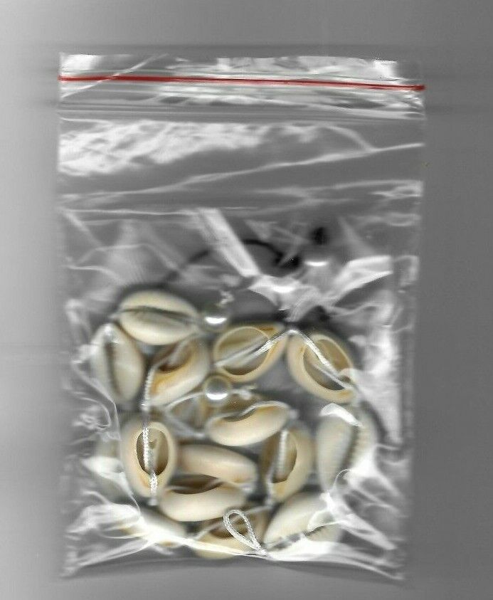 JA.S.JR Shell Necklaces / Bracelets  - Brand New