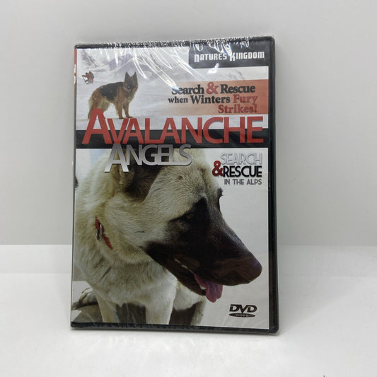 Avalanche Angels (DVD) **New**