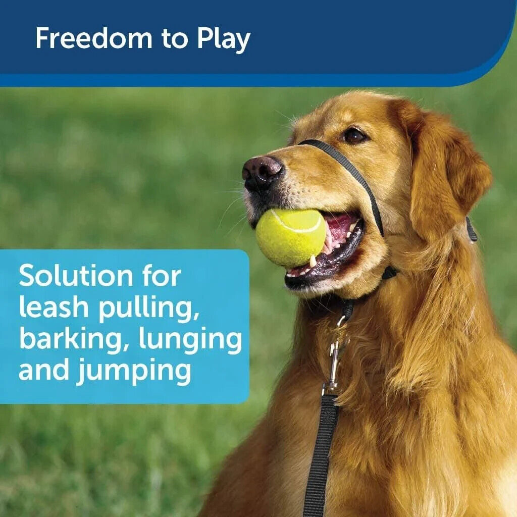 PetSafe Gentle Leader Head Collar - Green, S