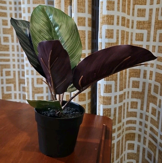 Ashland Artificial Micro Plant Deco Spring Ceramic Potted  8" High 5 Leaves