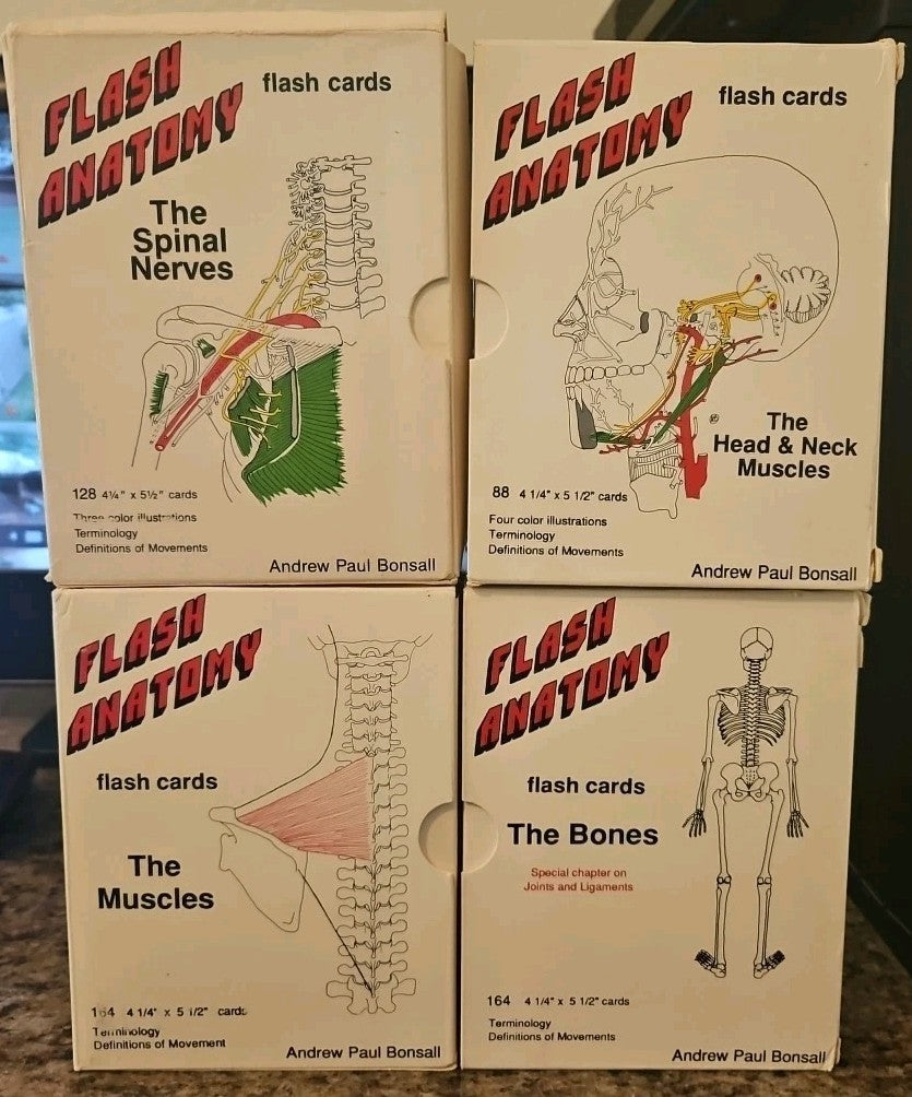 4 Flash Anatomy Flash Cards: Bones/Spinal Nerves/Muscles/Muscular Systems