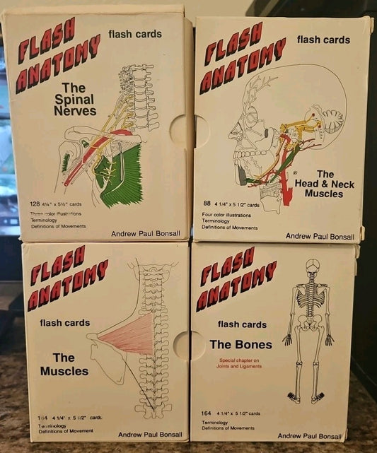 4 Flash Anatomy Flash Cards: Bones/Spinal Nerves/Muscles/Muscular Systems