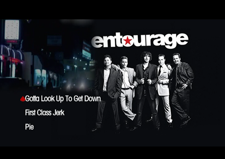 Entourage (Seasons 1 - 6) Replacement Discs (DVD)