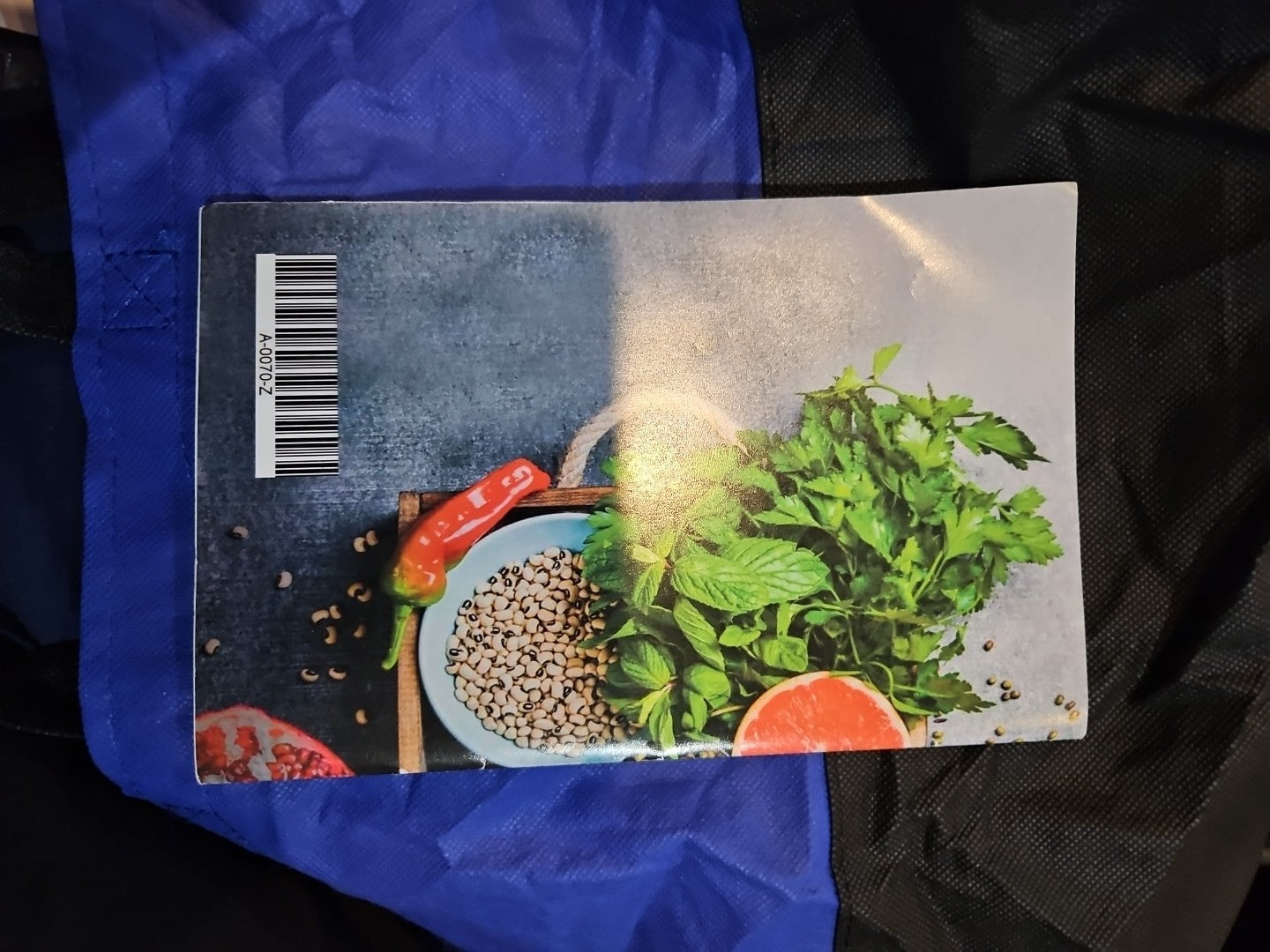 Immunity Survival Kit by Michael Redsen. Booklet + DVD