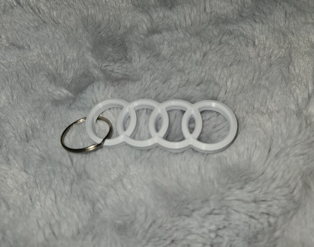 Audi Inspired 3D Printed Key Chains - Choose