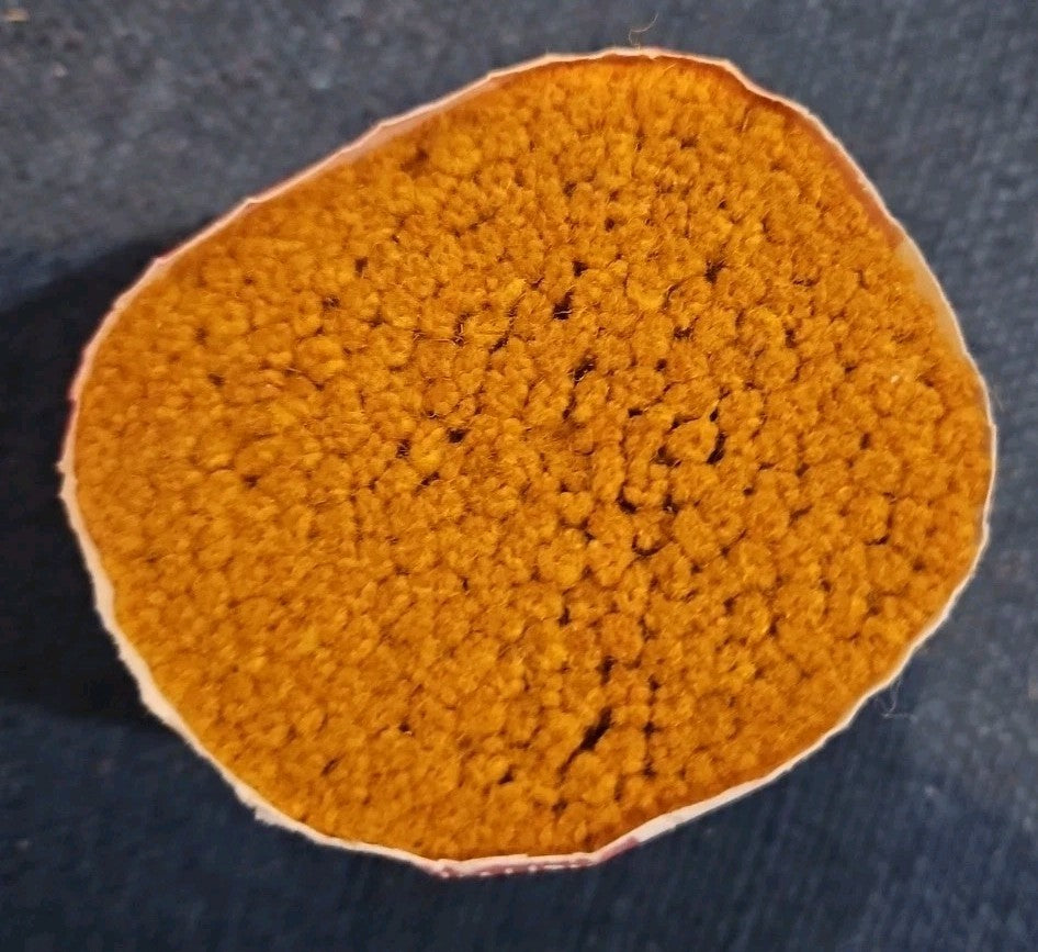 Readicut Hook Rug Mustard 3"  Wrapped Mothproof 51% Wool 49% Viscose