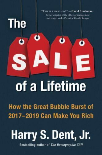 The Sale of a Lifetime : How the Great Bubble Burst of 2017-2019 Can Make You...